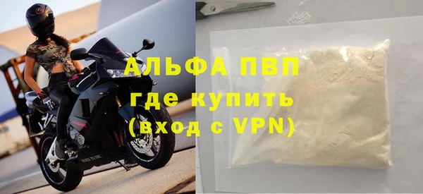 ГАЛЛЮЦИНОГЕННЫЕ ГРИБЫ Богданович
