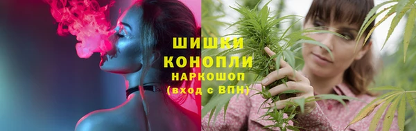 ГАЛЛЮЦИНОГЕННЫЕ ГРИБЫ Богданович