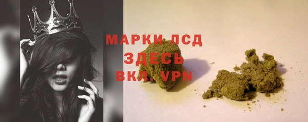 ГАЛЛЮЦИНОГЕННЫЕ ГРИБЫ Богданович