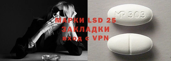 ГАЛЛЮЦИНОГЕННЫЕ ГРИБЫ Богданович