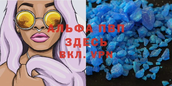 ГАЛЛЮЦИНОГЕННЫЕ ГРИБЫ Богданович