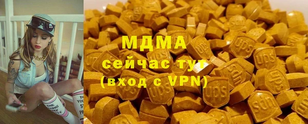 ГАЛЛЮЦИНОГЕННЫЕ ГРИБЫ Богданович