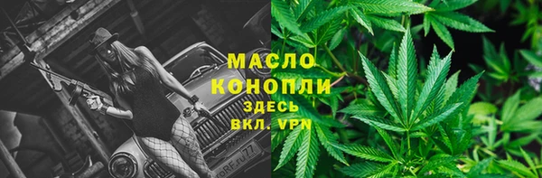 ГАЛЛЮЦИНОГЕННЫЕ ГРИБЫ Богданович