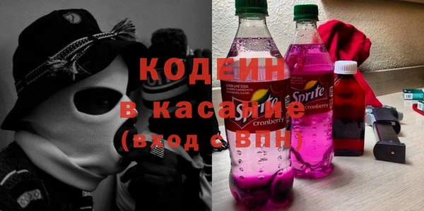 ГАЛЛЮЦИНОГЕННЫЕ ГРИБЫ Богданович