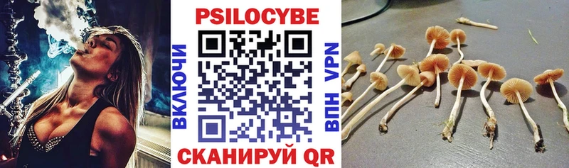 Галлюциногенные грибы ЛСД Нерюнгри